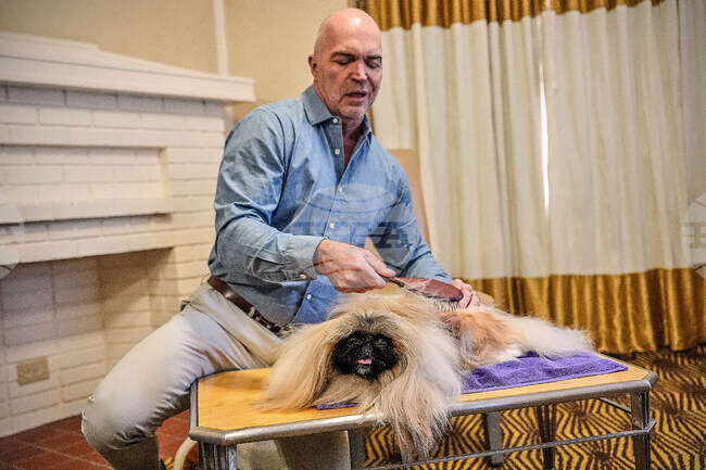 Westminster Dog Show 101