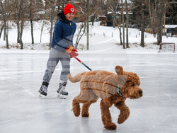 Westminster Dog Show 101