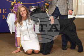 Westminster Dog Show 101