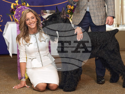 Westminster Dog Show 101