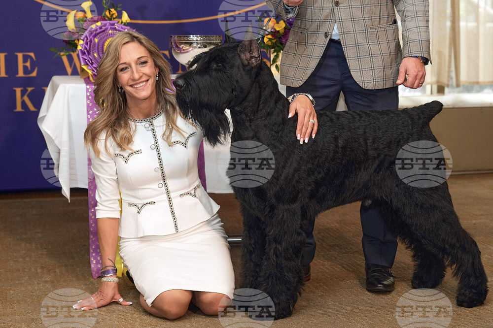 Westminster Dog Show 101