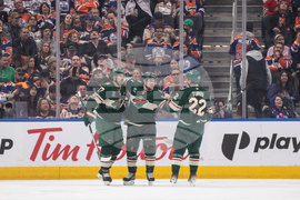 Wild Oilers Hockey