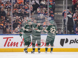 Wild Oilers Hockey