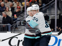 Kraken Golden Knights Hockey