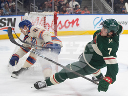 Wild Oilers Hockey
