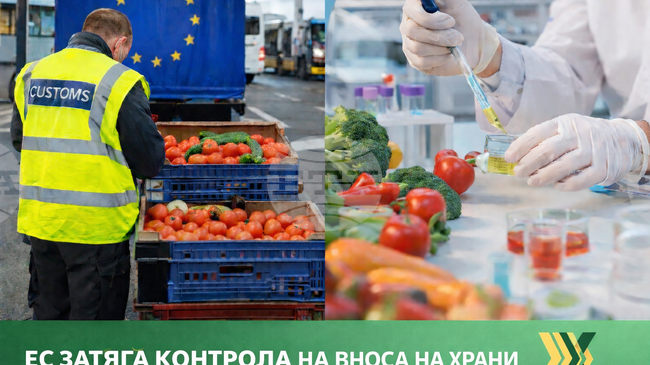 Сдружението „За достъпна и качествена храна“ приветства по-строгия контрол на вносните храни в ЕС