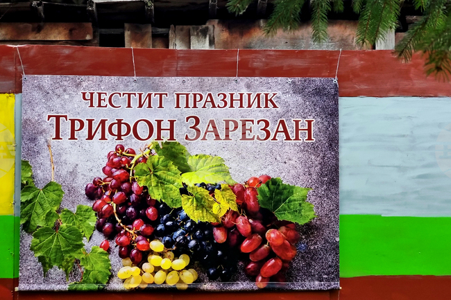 С трапези, зарязване на лозя и конкурси за вино ще посрещнат Трифон Зарезан в община Добричка