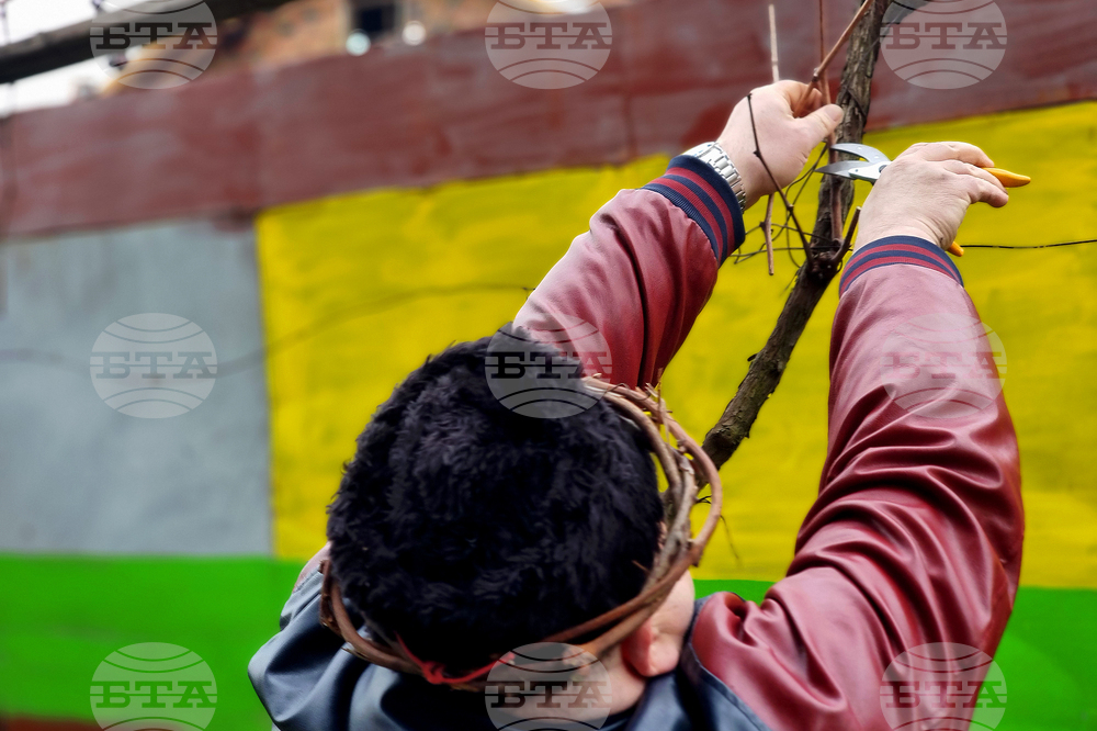 Ямбол - Трифон Зарезан - отбелязване