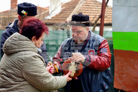 Ямбол - Трифон Зарезан - отбелязване