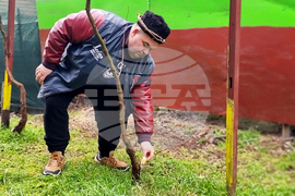 Ямбол - Трифон Зарезан - отбелязване