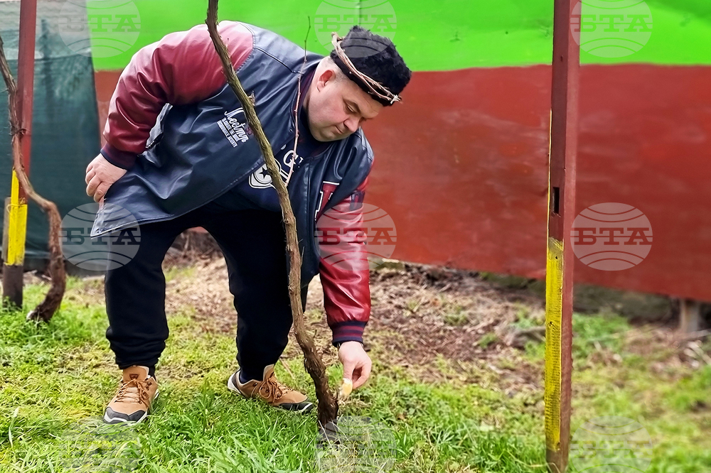 Ямбол - Трифон Зарезан - отбелязване