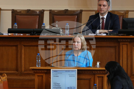 Парламент - Надежда Йорданова - парламентарен контрол