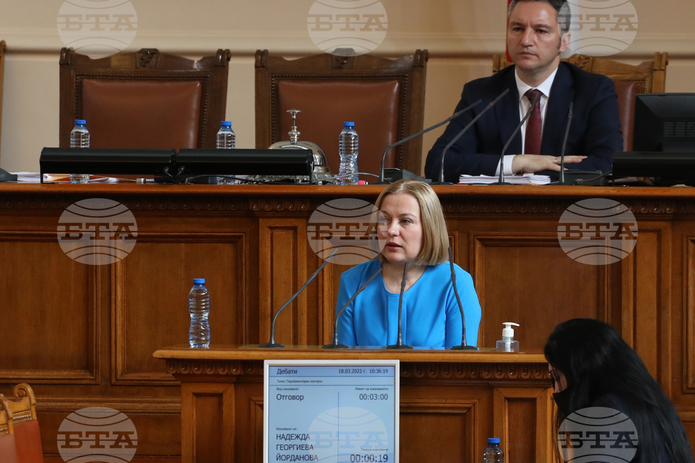 Парламент - Надежда Йорданова - парламентарен контрол