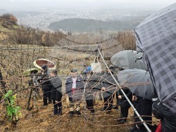 Село Делчево - Трифон Зарезан - празник