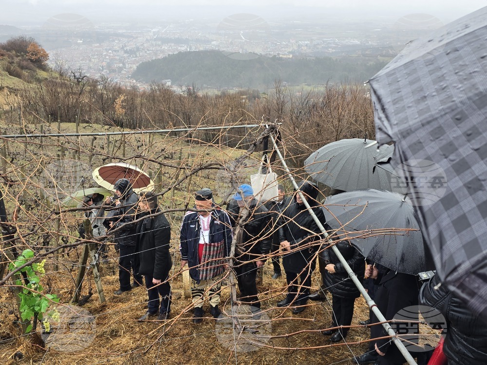 Село Делчево - Трифон Зарезан - празник