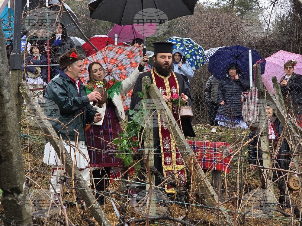 Село Делчево - Трифон Зарезан - празник