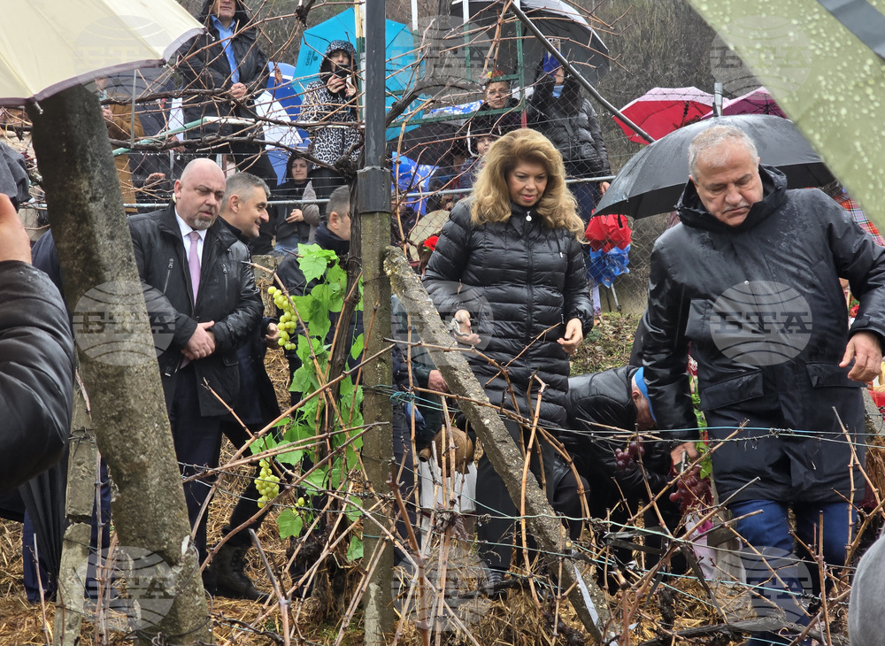 Село Делчево - Трифон Зарезан - празник