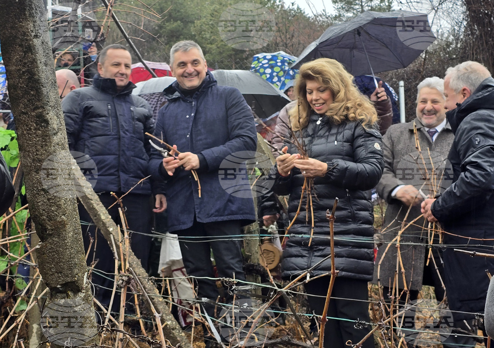 Село Делчево - Трифон Зарезан - празник