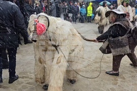 Село Делчево - Трифон Зарезан - празник