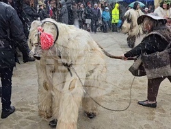 Село Делчево - Трифон Зарезан - празник