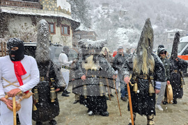 Село Делчево - Трифон Зарезан - празник