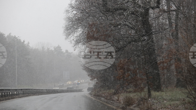 Over 515 Snowploughs Clear National Roads amid Intensifying Snowfall