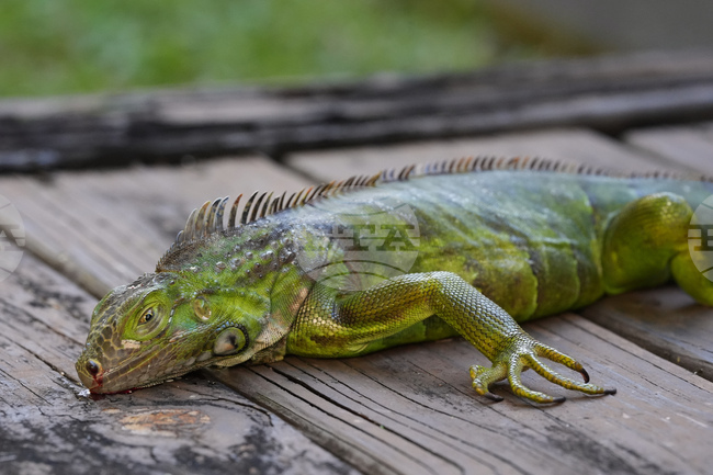 Winter Weather Florida