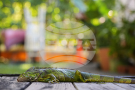 Winter Weather Florida