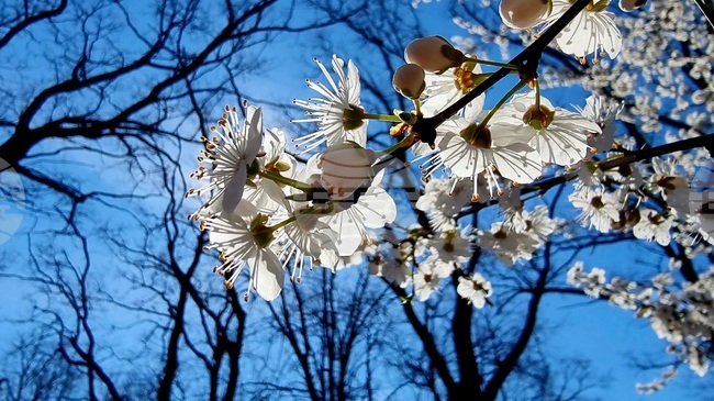 Прогноза за времето 