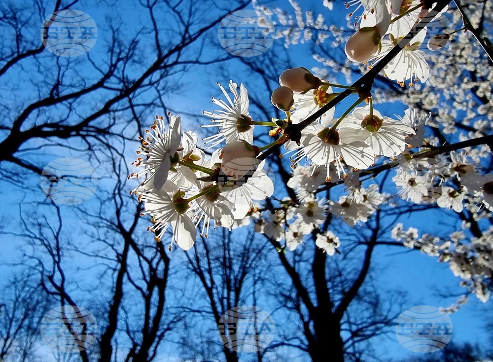 Прогноза за времето 