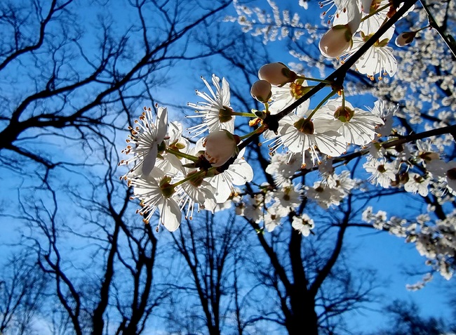 The Weather on March 24