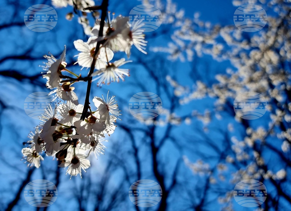 The Weather on March 16