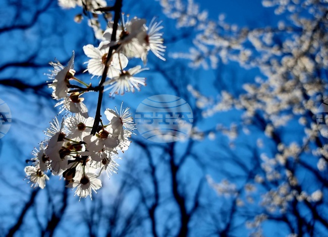 Слънчево време