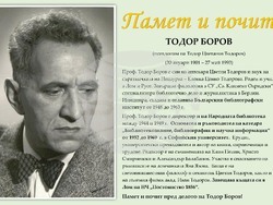 Лом-Тодор-Боров-1