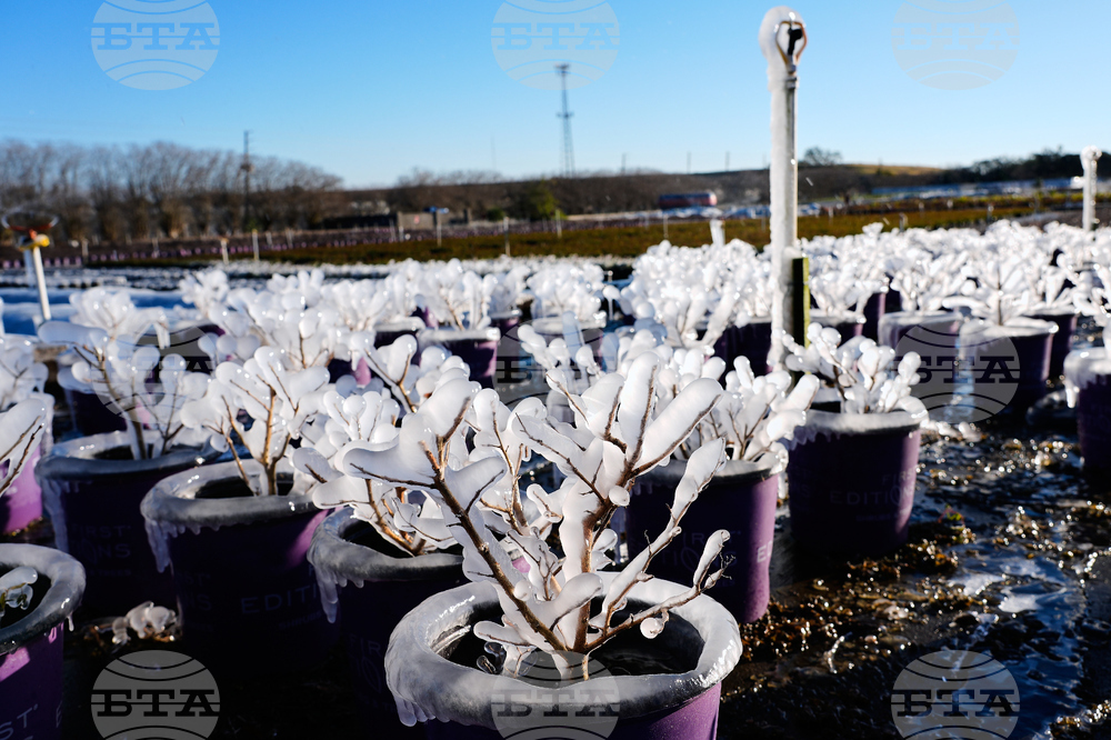 Winter Weather Florida