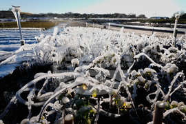 Winter Weather Florida