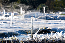 Winter Weather Florida