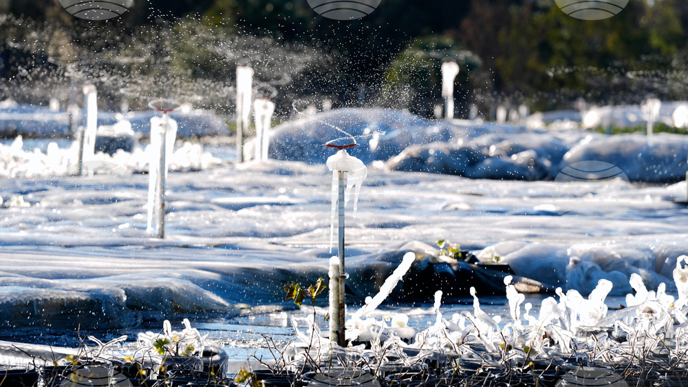 Winter Weather Florida