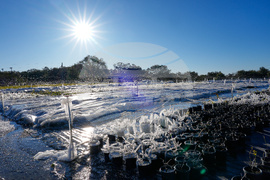 Winter Weather Florida