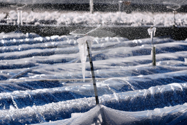 Winter Weather Florida