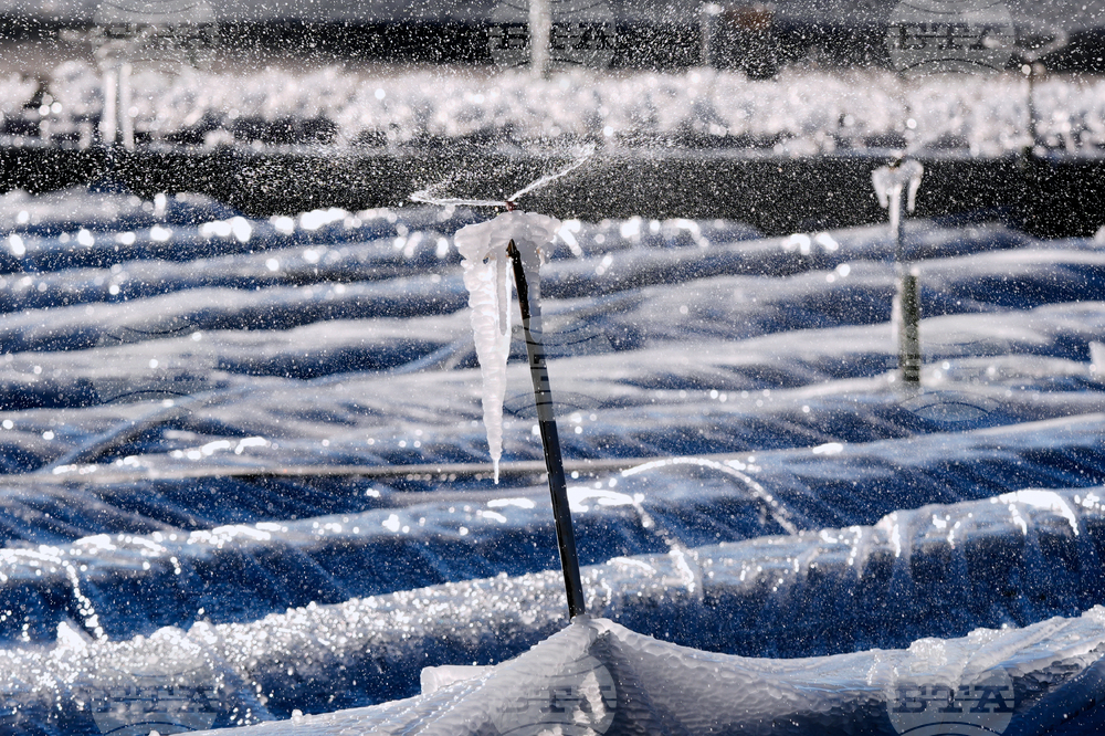 Winter Weather Florida