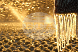 Winter Weather Florida