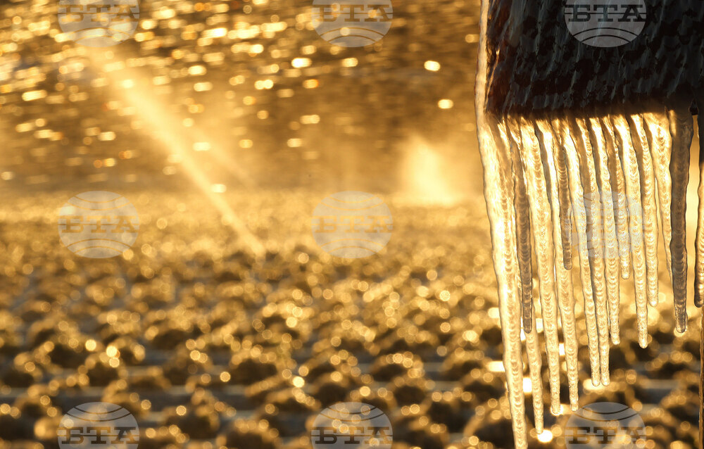 Winter Weather Florida