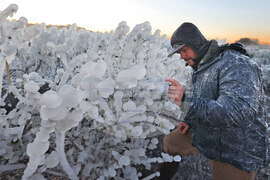 Winter Weather Florida