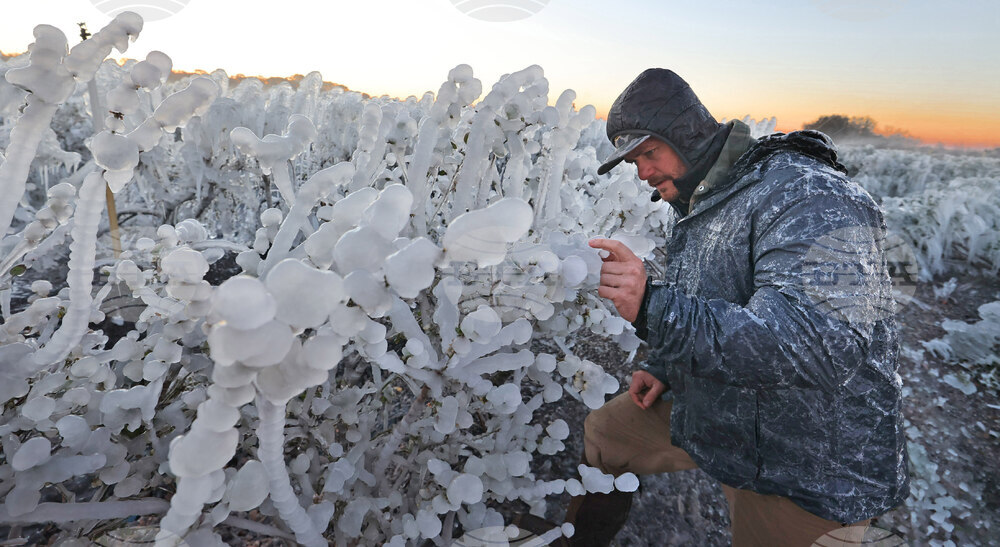 Winter Weather Florida