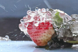 Winter Weather Florida