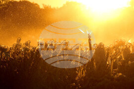 Winter Weather Florida