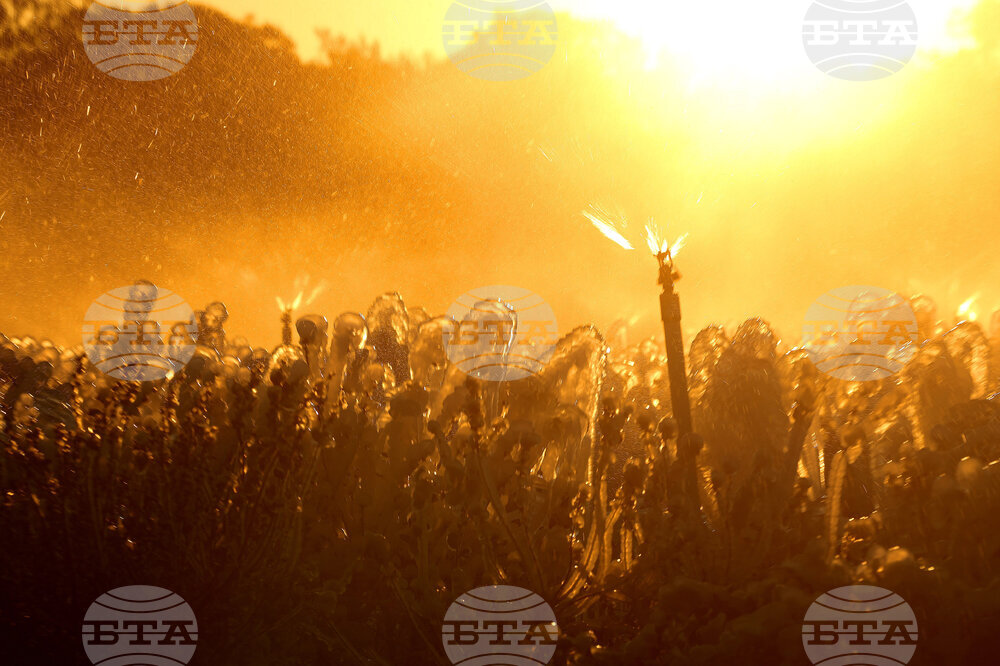 Winter Weather Florida