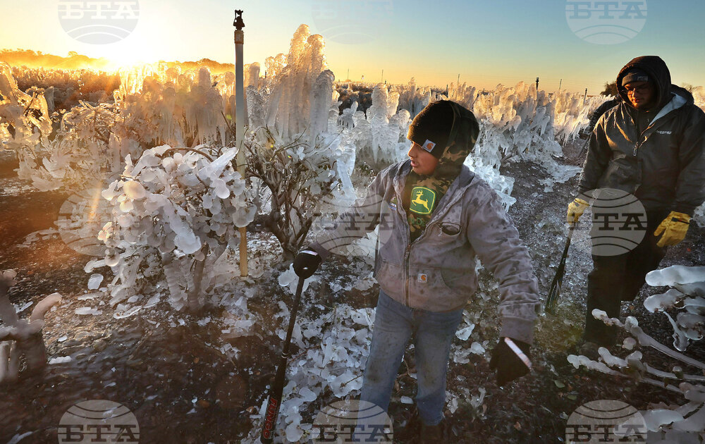 Winter Weather Florida