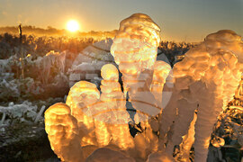 Winter Weather Florida